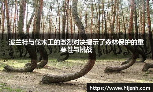 星空综合